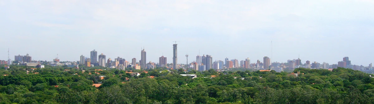 Panorama urbano de Asunción entre vegetación